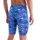 Стартовые гидрошорты Arena PS ST NEXT LE JAMMER  splashy multicolor