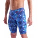 Стартовые гидрошорты Arena PS ST NEXT LE JAMMER  splashy multicolor
