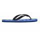 Сланцы ARENA FLIP FLOP