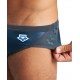 Плавки ARENA ICONIC BRIEF